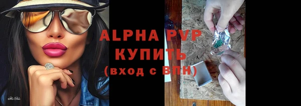 стаф Балахна