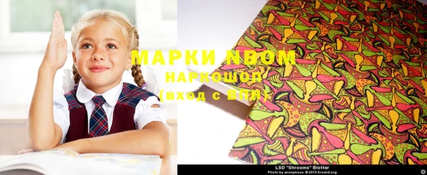 стаф Балахна