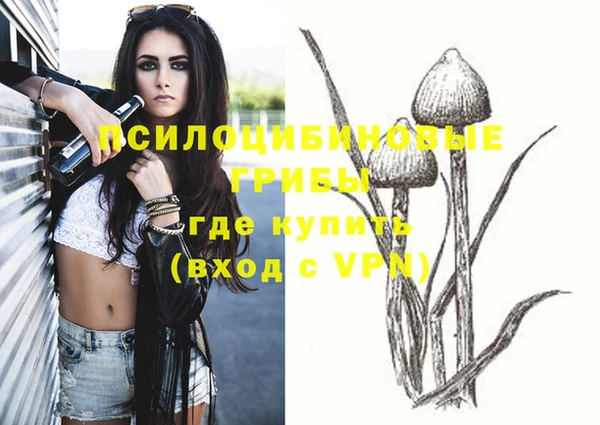 стаф Балахна