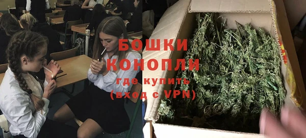 стаф Балахна