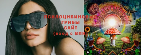сатива Балабаново