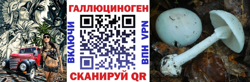 как найти закладки  Красноуральск  Галлюциногенные грибы Psilocybine cubensis 